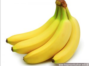Manfaat Buah Pisang dan Khasiatnya